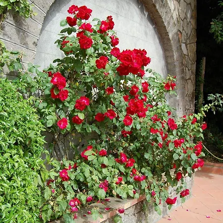 Hotel Grand Hermitage SantʼAgata sui Due Golfi